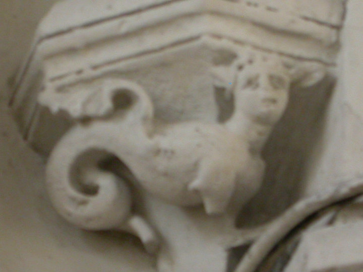 bestiare_photo_65