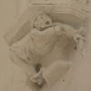 bestiare_photo_70