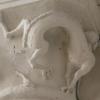 bestiare_photo_75